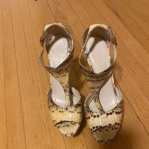 Sergio Rossi Snake shoes